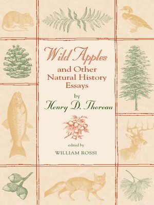 cover image of Wild Apples and Other Natural History Essays